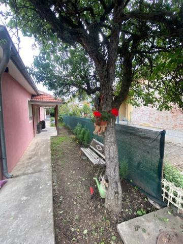 Apartman Milica Pozsarevác Kültér fotó